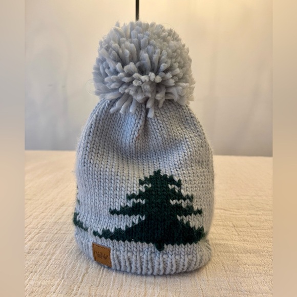 Panache Accessories - EUC! Panache Evergreen Pom-Pom Beanie